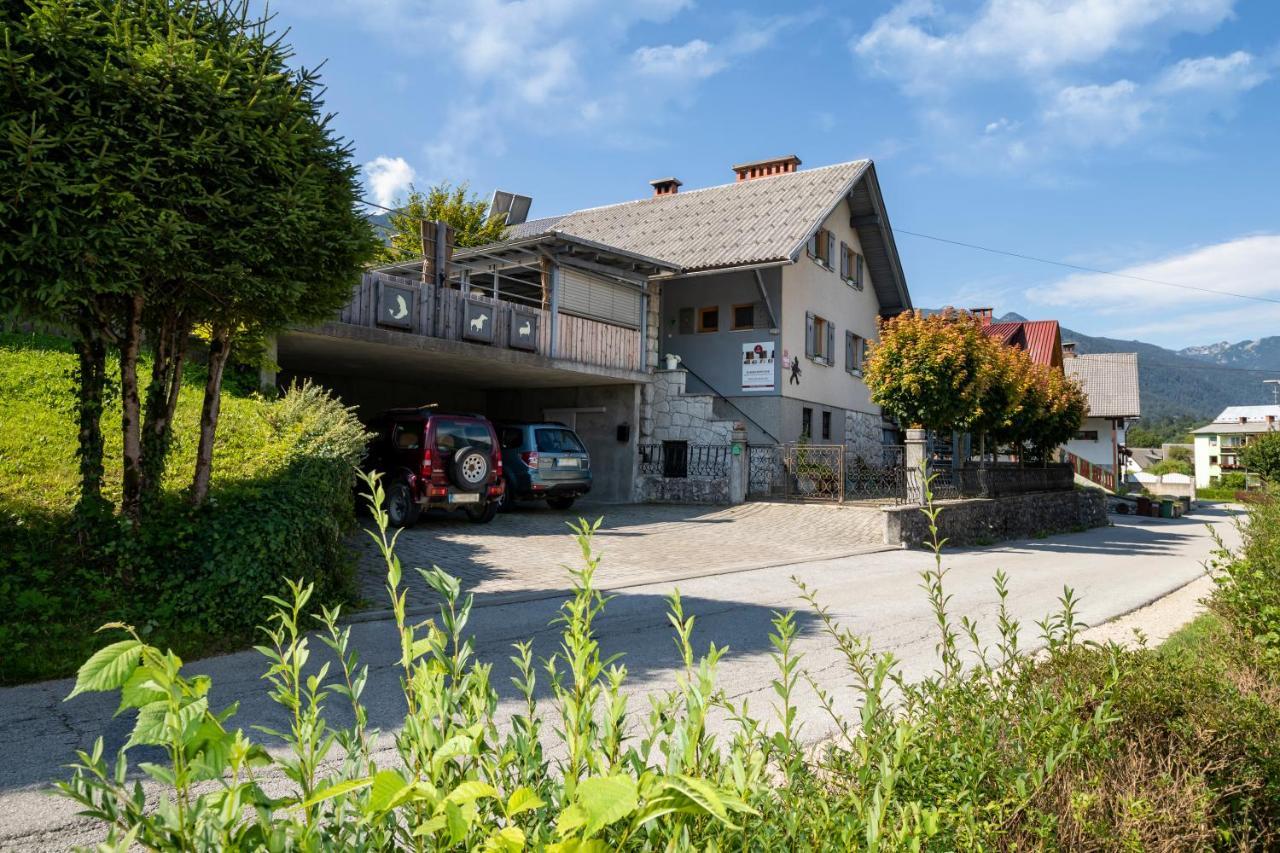 Apartmaji Rauter Apartment